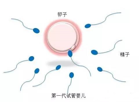实验室3
